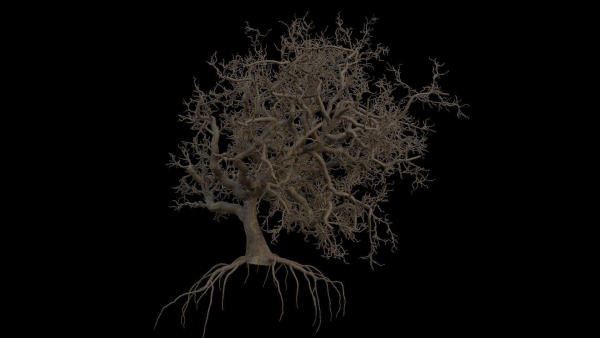 Spooky tree with pbr textures