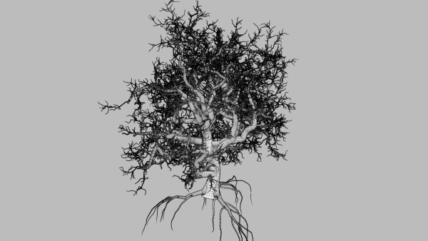 Spooky tree with pbr textures