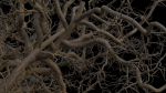 Spooky tree with pbr textures
