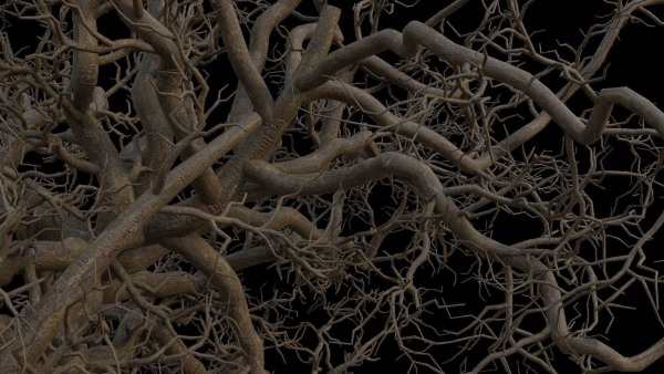 Spooky tree with pbr textures