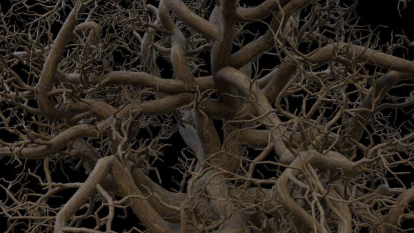 Spooky tree with pbr textures