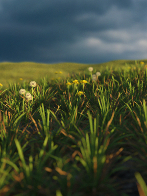 spring-field-3d-model-max-obj-fbx