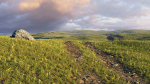 Spring field