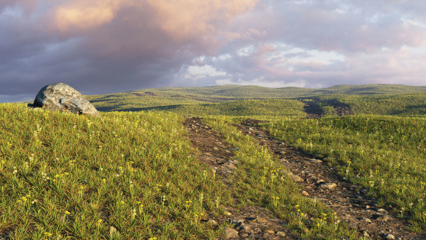 Spring field