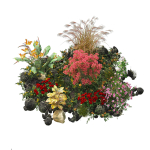 Spring Flower Collection