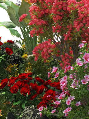 Spring Flower Collection