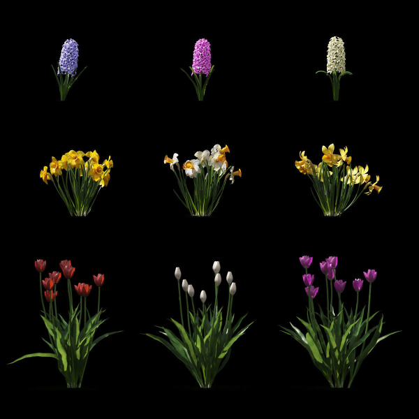 Spring flowers vol 1