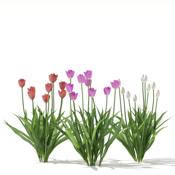 Spring flowers vol 1