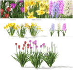 Spring flowers vol 1