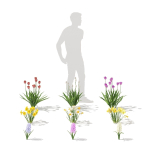 Spring flowers vol 1