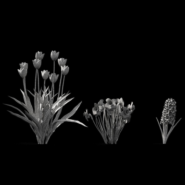 Spring flowers vol 1