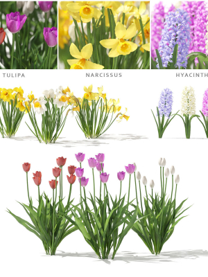 Spring flowers vol 1