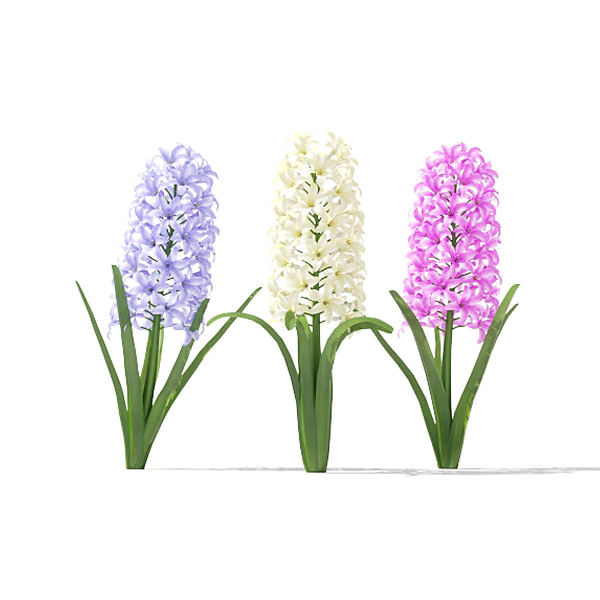 Spring flowers vol 1