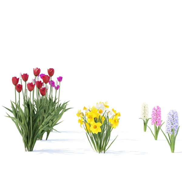 Spring flowers vol 1