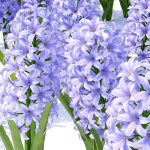 Spring flowers vol 1