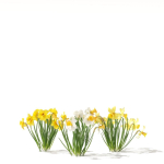 Spring flowers vol 1