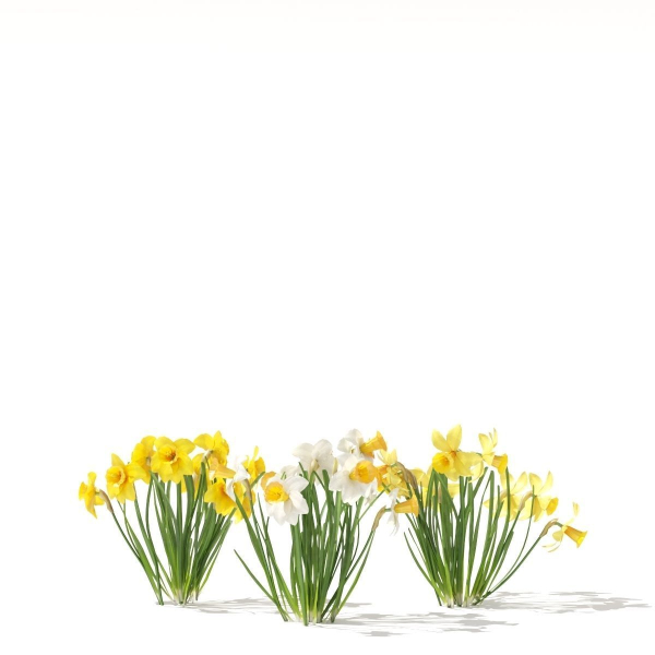 Spring flowers vol 1