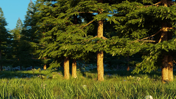Spring Forest