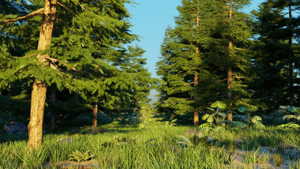 Spring Forest
