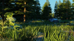 Spring Forest