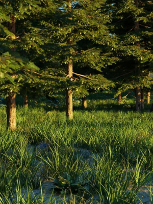 spring-forest-3d-model-9d149df60e