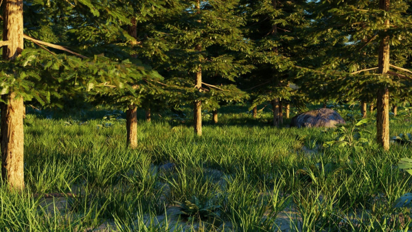 Spring Forest