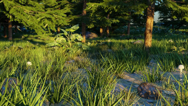 Spring Forest