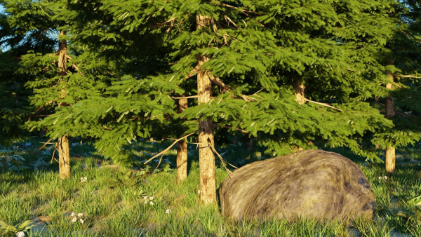 Spring Forest