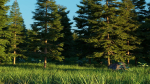 Spring Forest