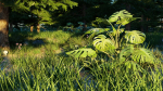 Spring Forest