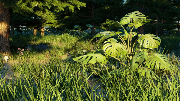 Spring Forest