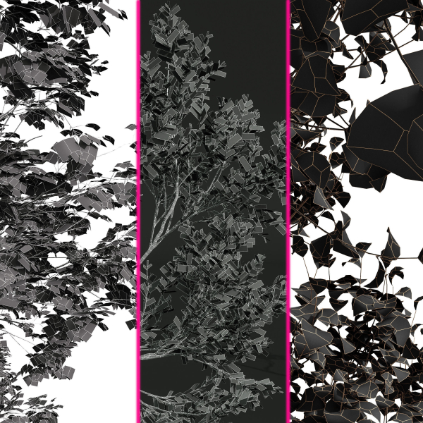 spring trees 2