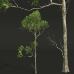 spring trees 2