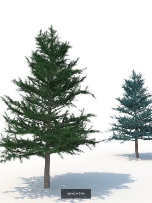 spruce-collection-3d-model-max-obj-fbx-mat