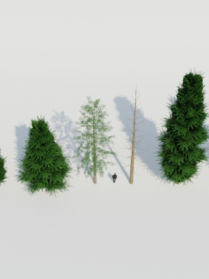 Spruce Fir Trees pack