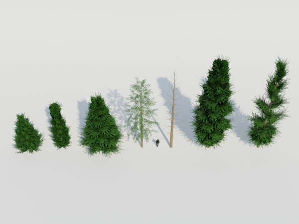 Spruce Fir Trees pack