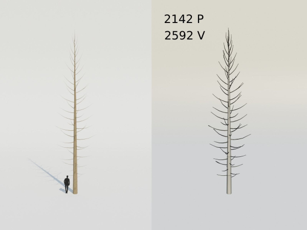 Spruce Fir Trees pack