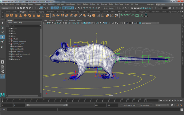 squirrel