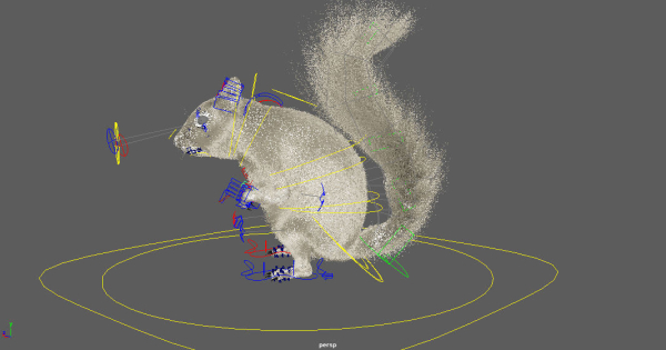 squirrel