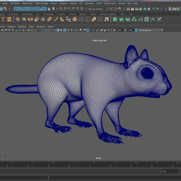 Squirrel Model in flight