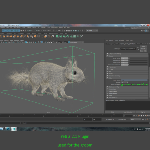 Squirrel Model in flight