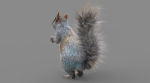 Squirrel Model in flight