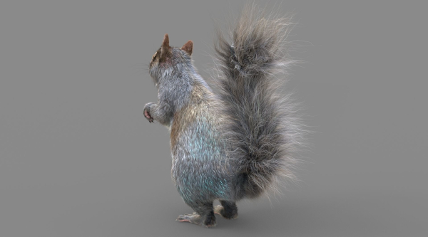Squirrel Model in flight