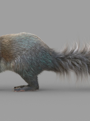 squirrel-model-in-flight-3d-model-728e069e40