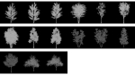 StandardSet1 33trees