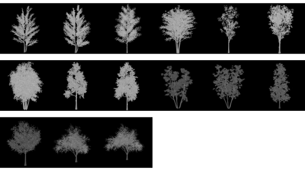 StandardSet1 33trees