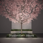 StandardSet1 33trees