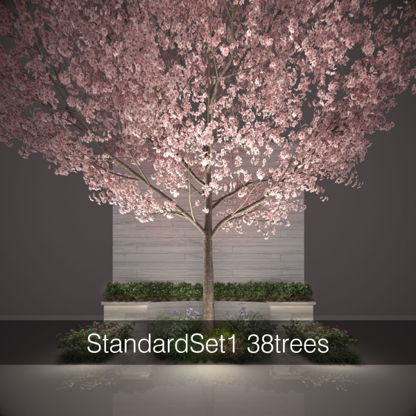 StandardSet1 33trees