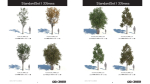 StandardSet1 33trees