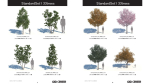 StandardSet1 33trees